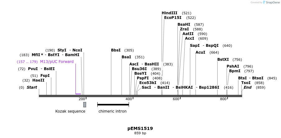 38857_map