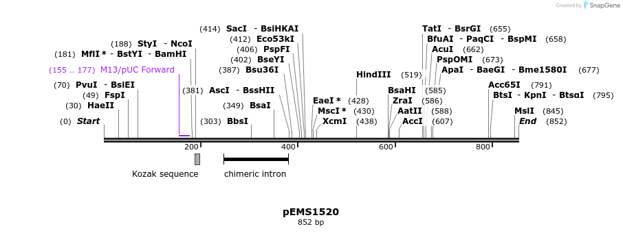38858_map