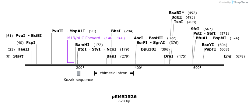 38859_map
