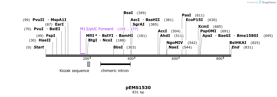 38861_map