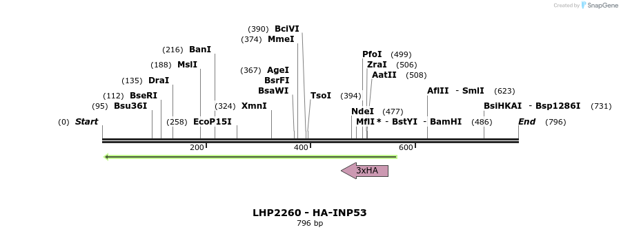 38864_map