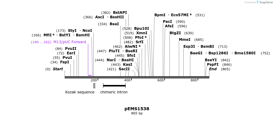 38865_map