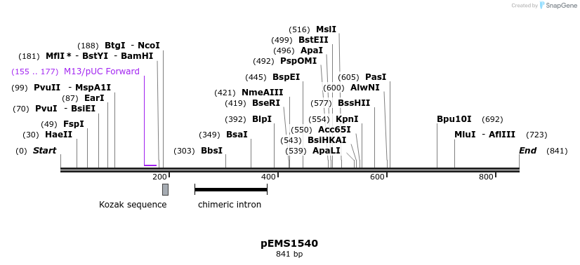 38867_map