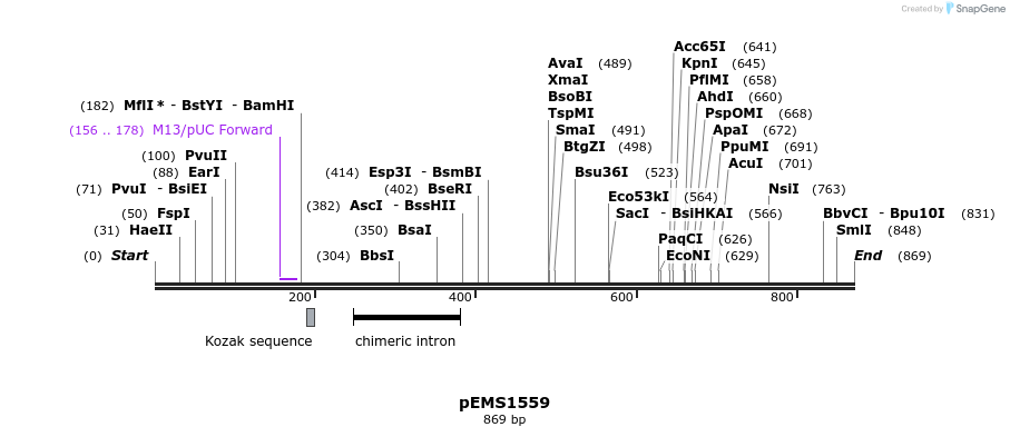 38869_map