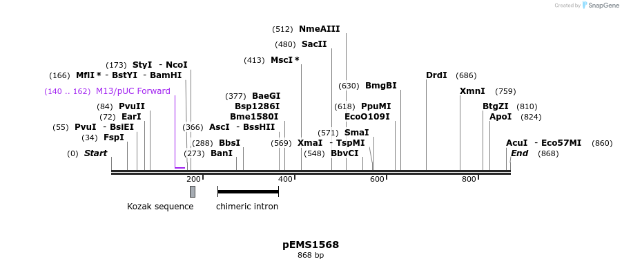 38870_map