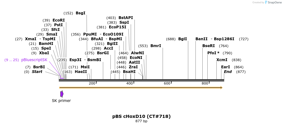 38872_map