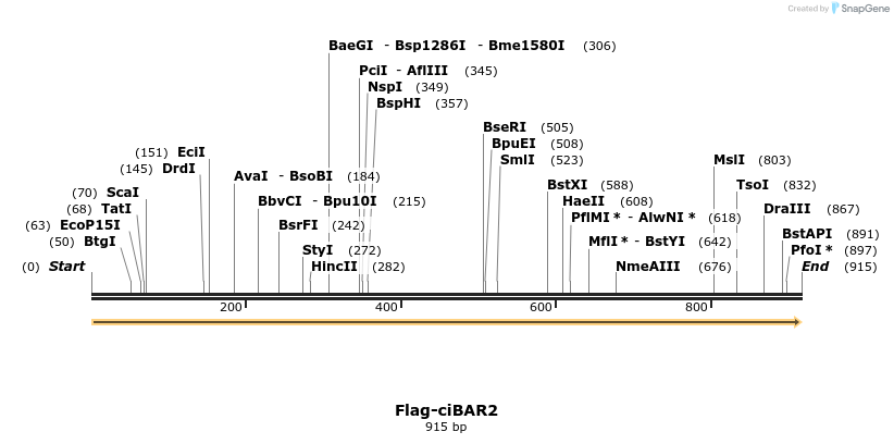 388737_map