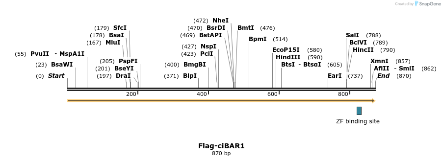 388739_map