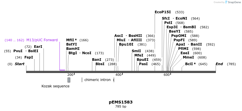 38874_map