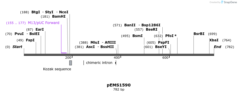 38876_map