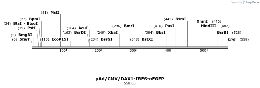 38877_map