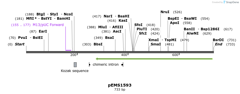 38878_map