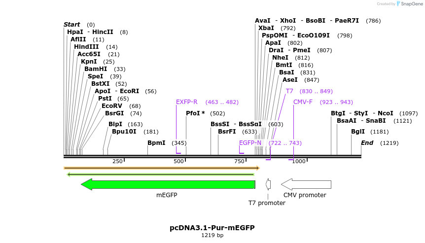 388794_map