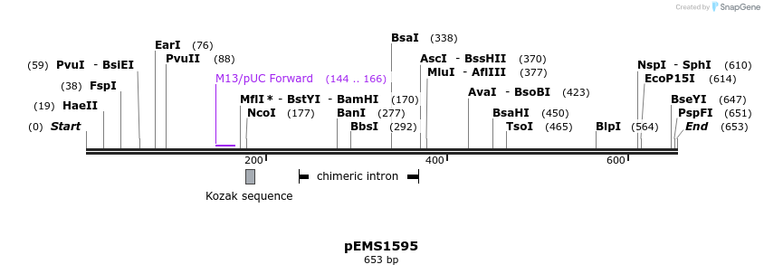 38880_map