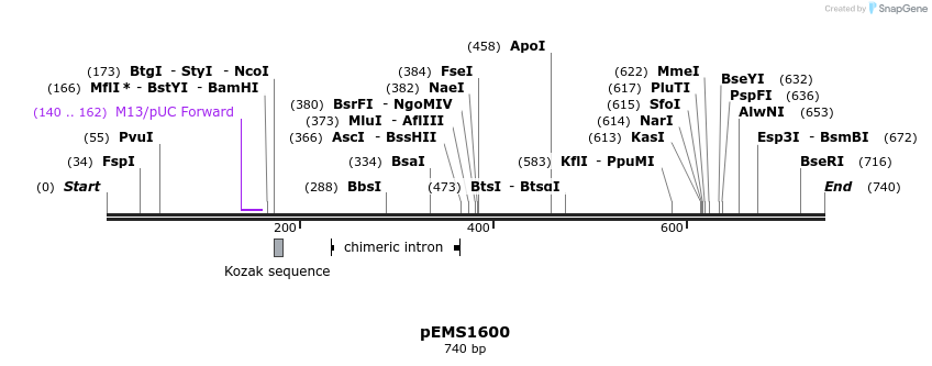38882_map