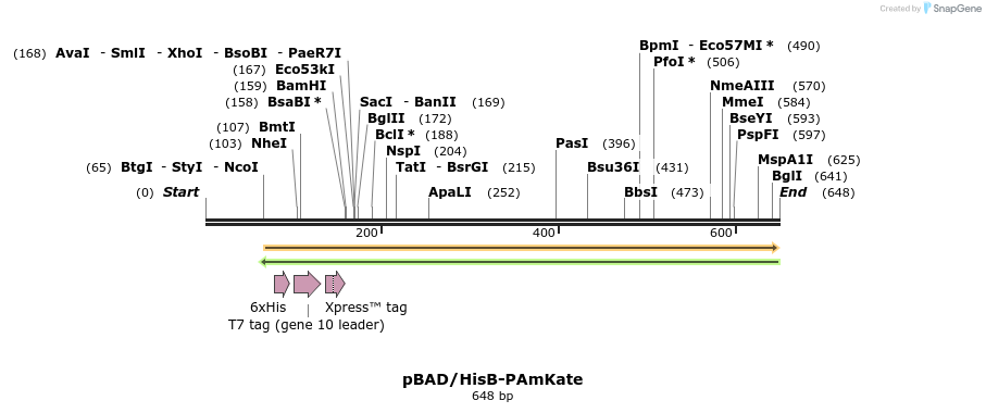 38886_map