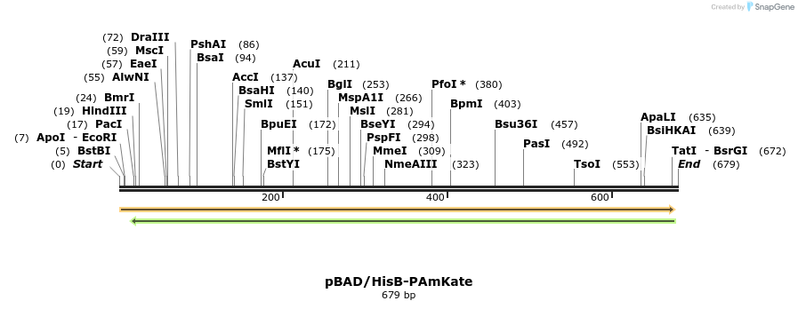 38888_map