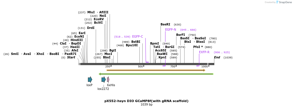 388900_map