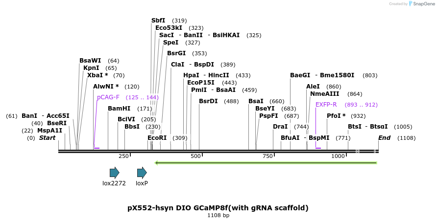 388901_map