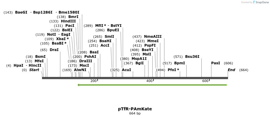 38891_map