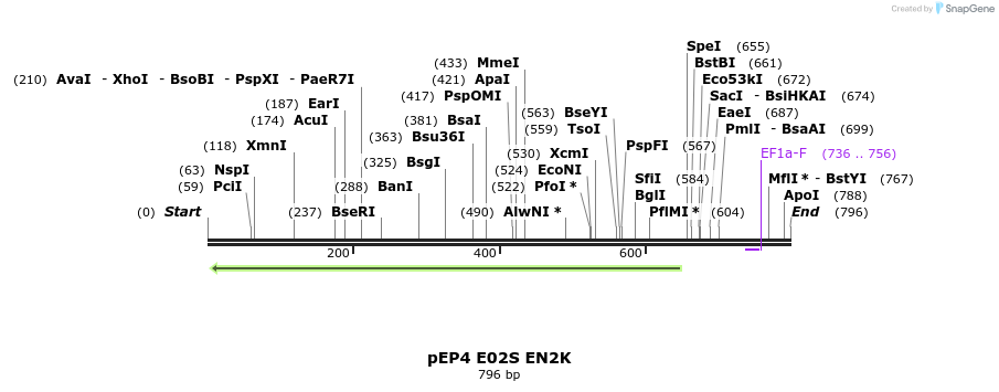 38892_map
