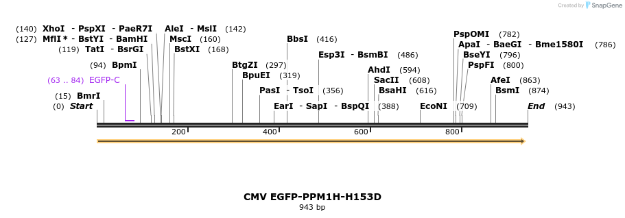 388941_map