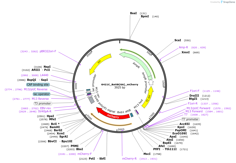 389019_map