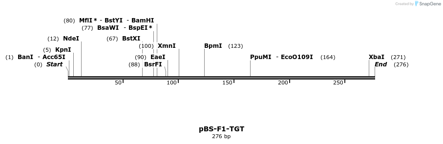 38902_map
