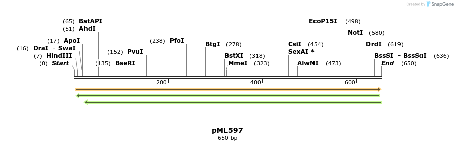 38909_map