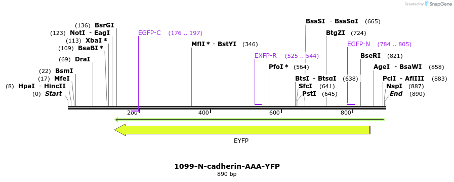38910_map
