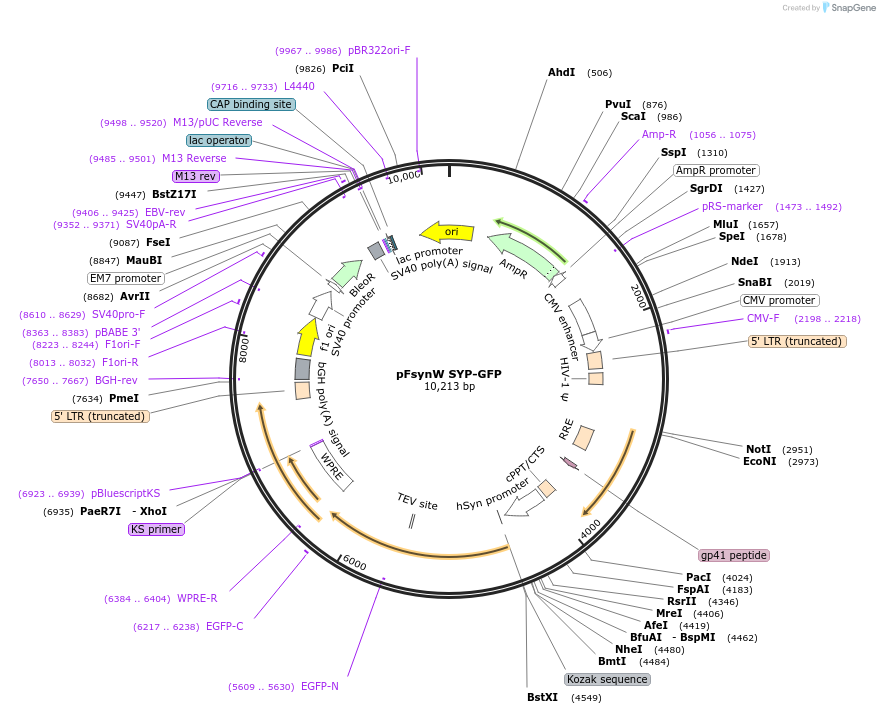 389101_map