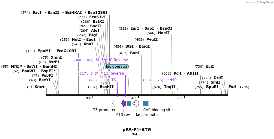 38911_map