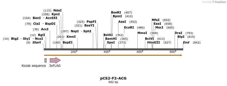 38914_map