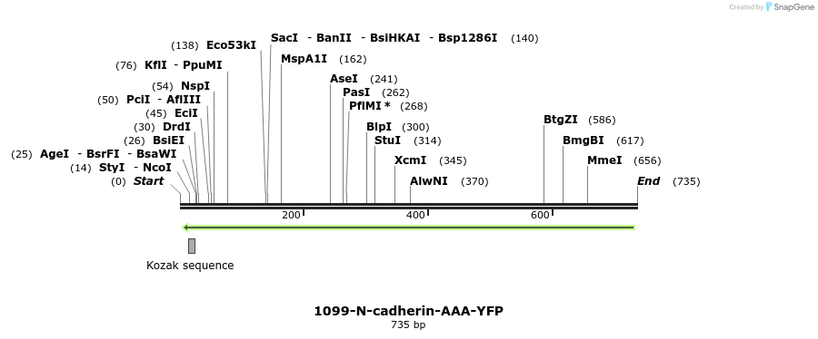 38915_map