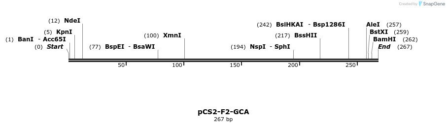 38916_map