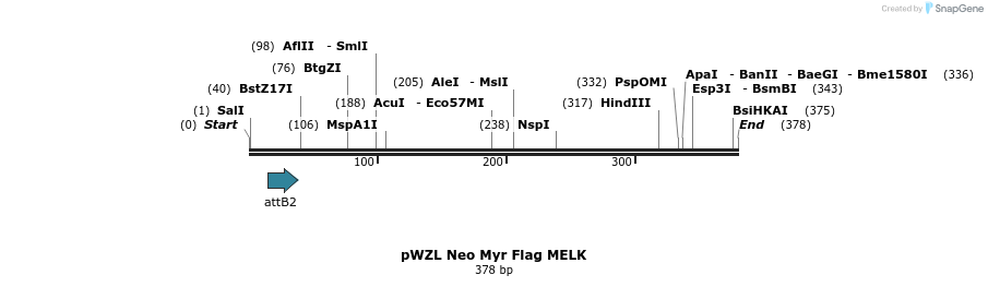 38918_map