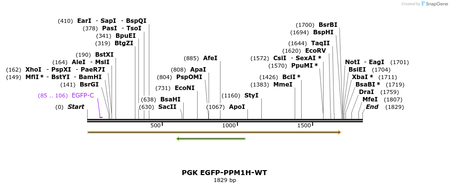 389239_map
