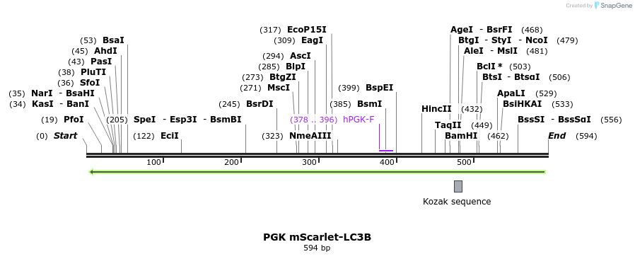 389320_map