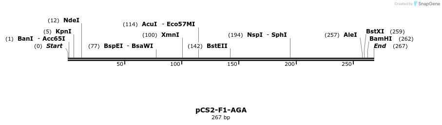 38936_map