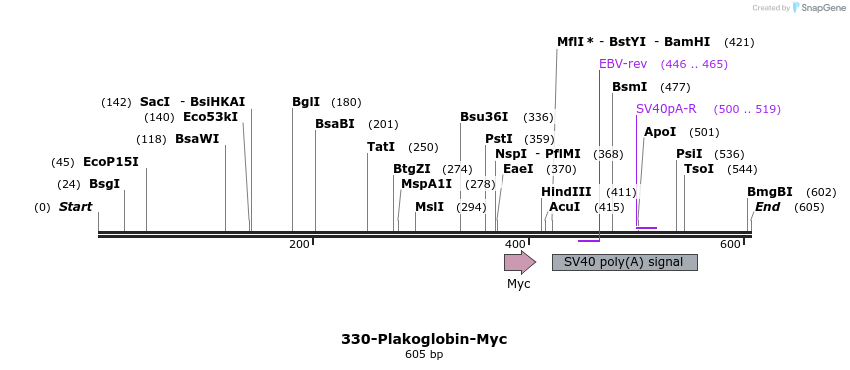 38939_map