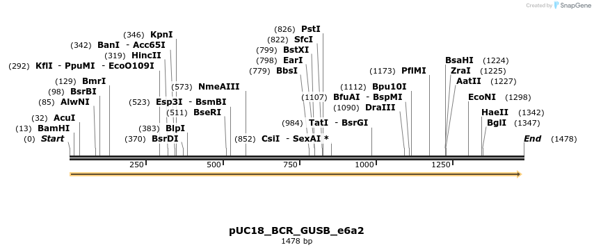 389421_map
