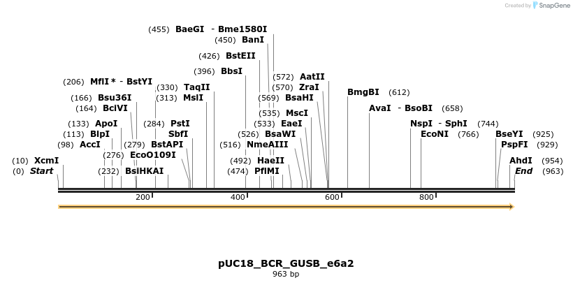 389422_map