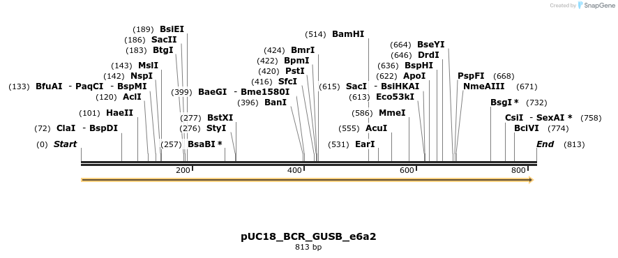 389423_map
