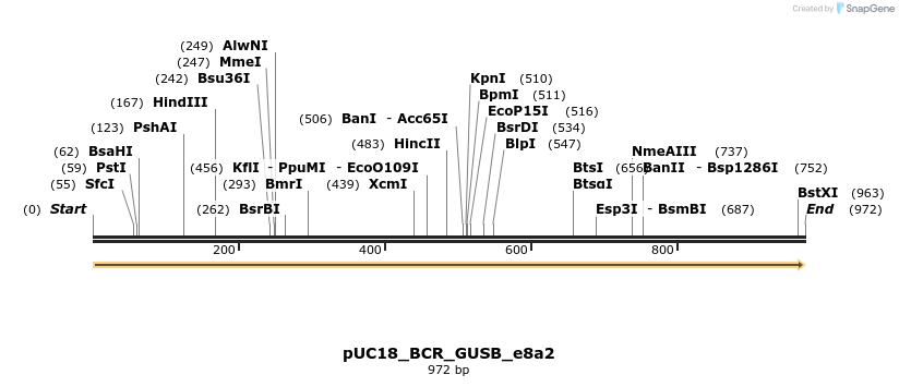 389435_map