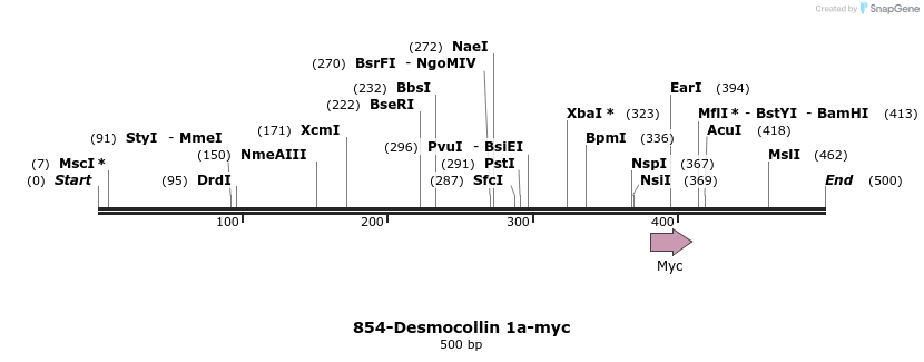38945_map