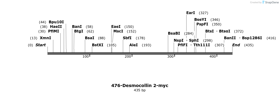 38946_map