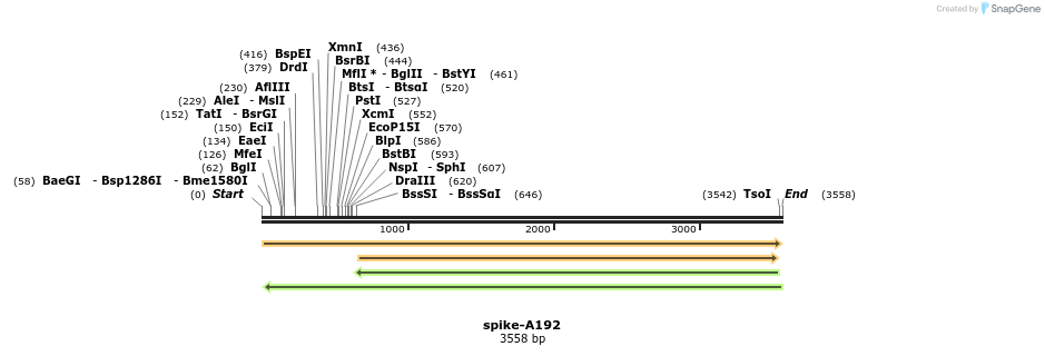 389613_map