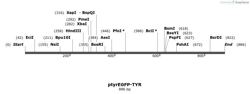 38964_map