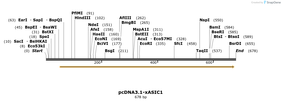 38965_map