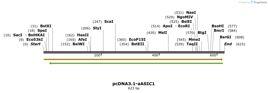 38966_map